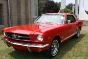 MUSTANG
